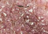Cobaltoan Calcite Crystal Cluster - Bou Azzer, Morocco #80140-1